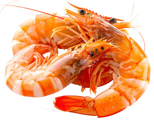 Freshly Cooked Shrimp on a White Background.