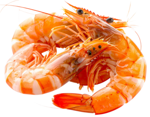 Freshly Cooked Shrimp on a White Background.