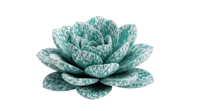 Succulent Plant Isolated on White Background - Powered by Adobe