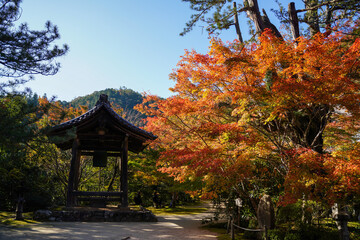Obraz premium 京都槙尾西明寺の境内の赤く紅葉した楓
