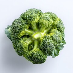 Organic Green Broccoli Florets For Healthy Nutrition And Vegan Dieting