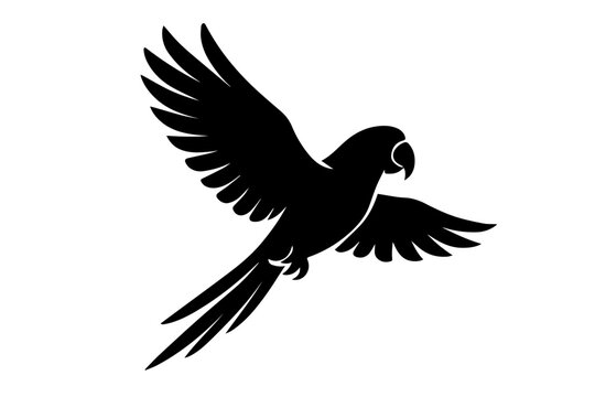 parrot vector illastration