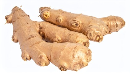 ginger root isolated on white