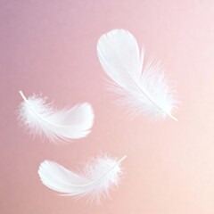 Obraz premium Three white feathers floating gently in the air against a soft pink background
