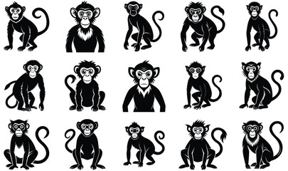monkey silhouettes © mstkhatija