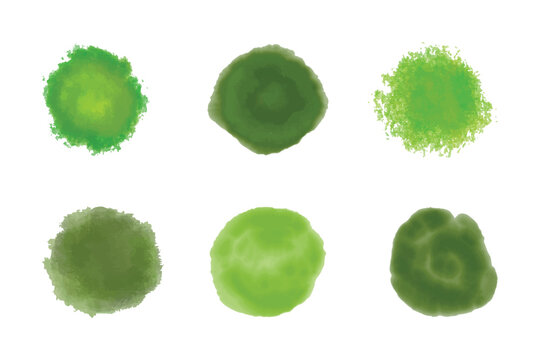 Set of Tree Top Views and Bush for Architectural Site Plans, Landscape Design, and Urban Map Mapping on White Background