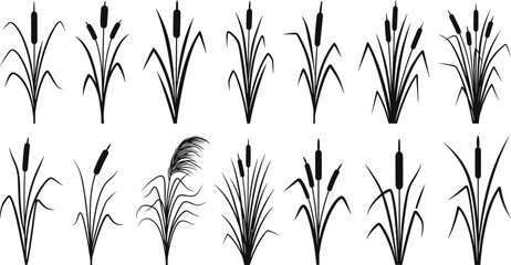 Black bulrush and cattail silhouettes set with various wetland plants and river reeds isolated on white background for nature design