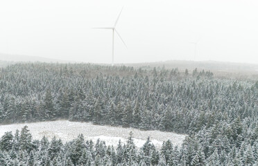 Snowy day in New Brunswick, Canada. 