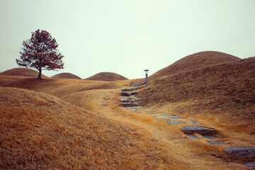 대구광역시 불로동 고분군