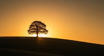 Solitary tree silhouetted against a vibrant sunset on a gently sloping hill