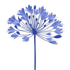 2D flat vector illustration of Agapanthus, clean and minimal icon style, isolated on white background.
