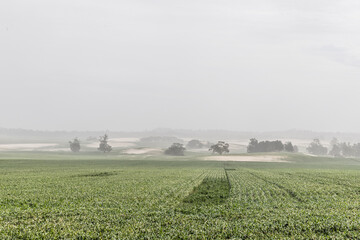 Dust Storm in Victoria Australia