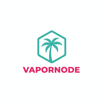 Modern tech logo featuring a turquoise palm tree inside a hexagon, blending tropical vibes with digital infrastructure and network node concepts