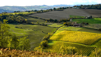Obraz premium Fogliame autunnale nel Parco Naturale delle Foreste Casentinesi, Appennino Tosco-Romagnolo. Panorami autunnali delle montagne bolognesi. Bologna, Emilia-Romagna, Italia.