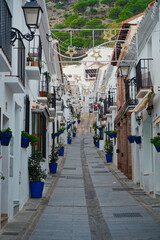 Charming Mediterranean street in Mijas, with whitewashed fa&ccedil;ades adorned with blue flower pots, wrought-iron window grilles, and lush plants that create a colorful and inviting traditional atmosphere