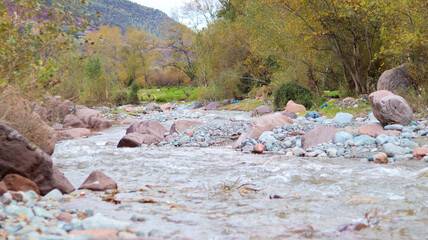 Narrow forest trail lined with rustic stone walls and fallen autumn leaves, leading through a serene natural landscape in the Ourika Valley near Marrakech, Morocco.