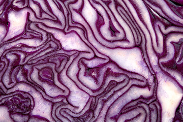 Obraz premium Close up of the inside detail of a red cabbage decorative