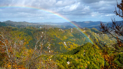 Fogliage autunnale nel Parco Naturale delle Foreste Casentinesi, Appennino Tosco-Romagnolo. Panorami autunnali delle montagne bolognesi. Bologna, Emilia-Romagna, Italia.