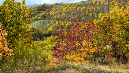 Fogliage autunnale nel Parco Naturale delle Foreste Casentinesi, Appennino Tosco-Romagnolo. Panorami autunnali delle montagne bolognesi. Bologna, Emilia-Romagna, Italia.