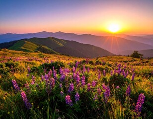 Obraz premium Sunset over mountain range with vibrant wildflowers and golden sunlight