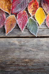 Frozen autumn leaves on rustic wooden background with copy space