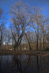 baum wasser natur himmel landschaft