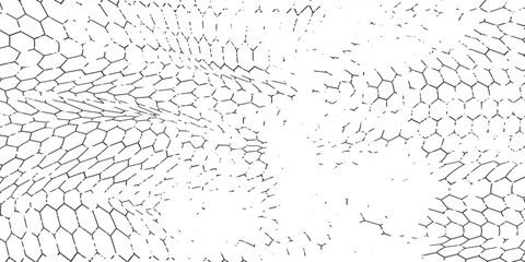 Fishing or soccer net. Repeated hexagon pattern. Black wired mesh texture isolated on white background. Metallic or fabric fence, cage or lattice structure. Vector graphic Illustration. © kurnia