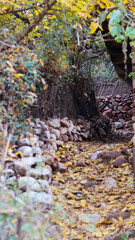 Narrow forest trail lined with rustic stone walls and fallen autumn leaves, leading through a serene natural landscape in the Ourika Valley near Marrakech, Morocco.
