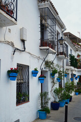 Charming Mediterranean street in Mijas, with whitewashed fa&ccedil;ades adorned with blue flower pots, wrought-iron window grilles, and lush plants that create a colorful and inviting traditional atmosphere