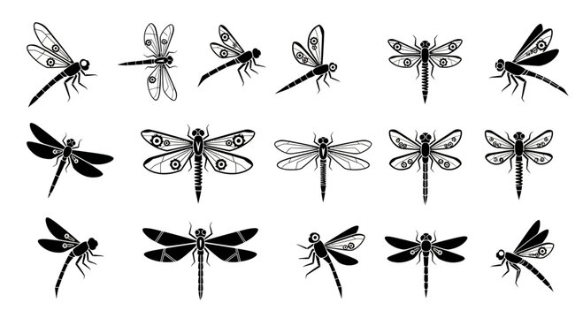 Captivating collection of diverse black dragonfly silhouettes offering elegant design elements for creative projects and natural motifs
