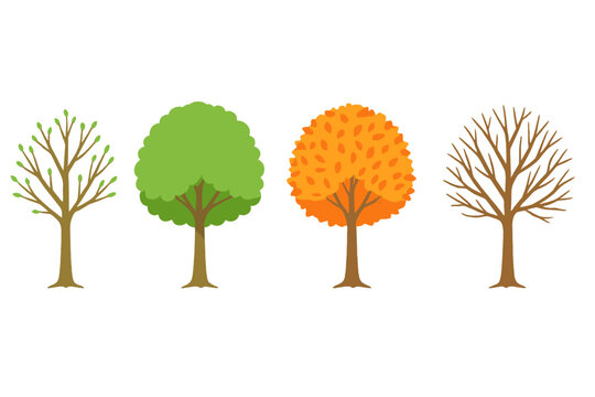Four trees depicting the seasons