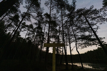 Wooden trail sign post in a pine forest by a calm lake shore under a clear starry sky at night time