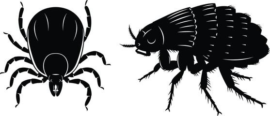 Black and white vector silhouette illustration of a parasitic tick and flea isolated on white background, blood sucking insect pests icons set © MDRAZIURRAHMAN