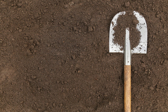 Brown soil ground texture, empty background with copyspace and shovel on garden bed in farm garden. Organic farming, gardening, growing, agriculture concept