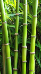Lush green bamboo plants close up nature s tranquil beauty discover serene details of vibrant bamboo foliage in natural setting