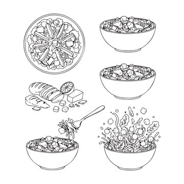 Caesar Salad Vector Illustration Clipart  Fresh Vegetable Salad Graphic Design Fresh Healthy Salad Food Illustration 