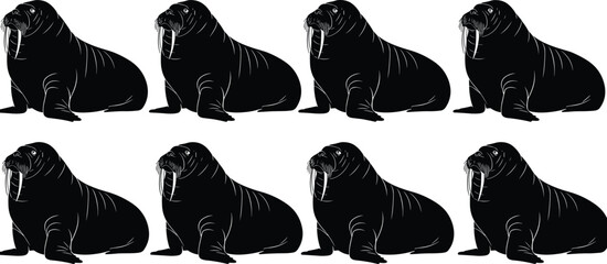 Black silhouette of walrus silhouettes in a row, flat vector illustration set isolated on white background for nature and arctic wildlife cad drawing © Sujoy