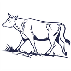 Fototapeta premium Cow sketch livestock drawing