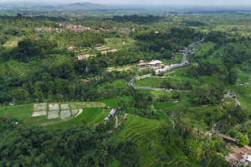 Aerial View Of Terraced Rice Fields Under Clear Blue Sky, Winding Contours Of Emerald Paddies Cascading Down