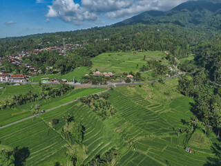 Aerial View Balinese Rice Terraces Village, Drone Surveying Emerald Paddies Beneath Mountain Backdrop,