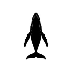 Top-down view of a black silhouette of a humpback whale swimming, isolated on a white background, showcasing its distinctive flippers and tail. © Maulana