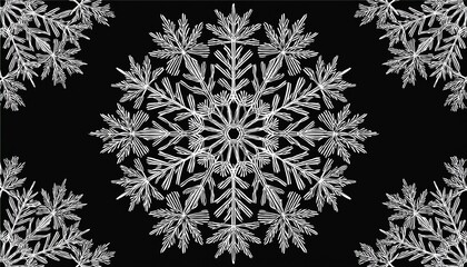white branching snowflake pattern on black background isolated on a white background