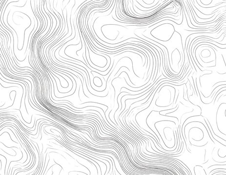 Abstract grayscale topographic rendering with organic, flowing, and contouring lines