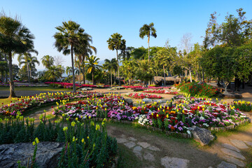 Mae Fah Luang Garden with vibrant floral terraces in Doi Tung near Chiang Rai, Northern Thailand