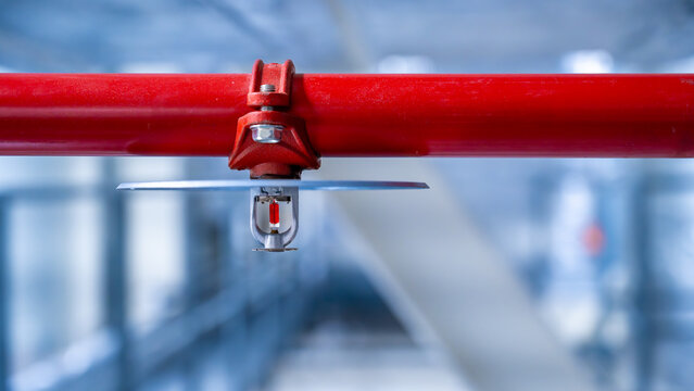 fire sprinkler on red fire pipe