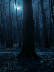 Crescent moon in a gloomy old forest. Moon over trees, scary night landscape. Atmosphere of horror.