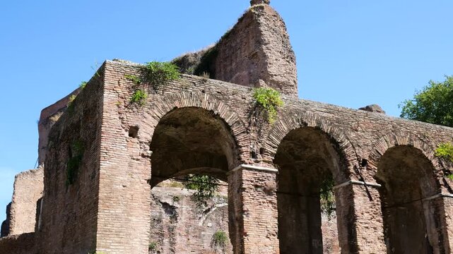 sunlit ancient roman brick arches weathered stonework creeping greenery partially ruined tower behind them clear blue sky basilica maxentius reveals rising view rome italy empire 