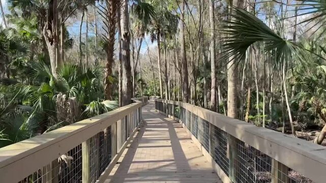 Timelapse along the boardwalk through the swamp at Spring Hammock Preserve in Longwood near Sanford, Florida
