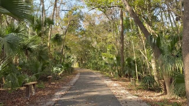 Walking down a nature path at Spring Hammock Preserve in Longwood near Sanford, Florida