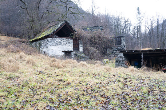 panorama boschivo in pieno inverno
